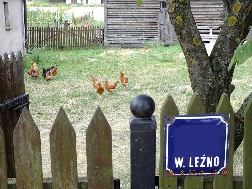 Agroturystyka Wielkie Lezno Εξωτερικό φωτογραφία